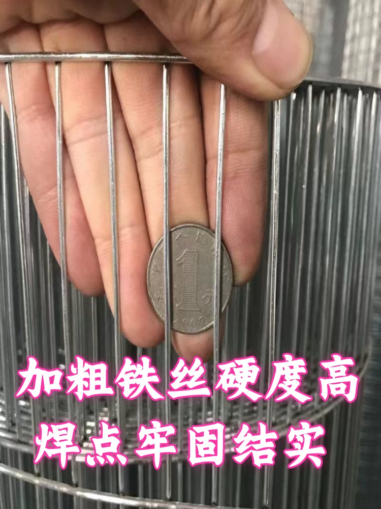 Ограда из колючей проволоки, клетка для разведения голубей, клетка для хомяков, кроликов, попугаев, стальная сетка, курятник, сетка для клеток для птиц своими руками.