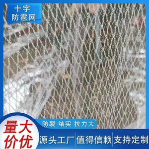 [厂家直销防雹网果园防鸟网农用防雹网冰雹网葡萄防冰雹网防雪网]