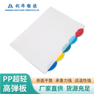 Pp Plastic Board Excellent Tough Temperature Resistant Flame Retardant Pe Sheet Handbag Non-Breakable Cold-Pressed Hot-Pressed Frosted Pp Sheet