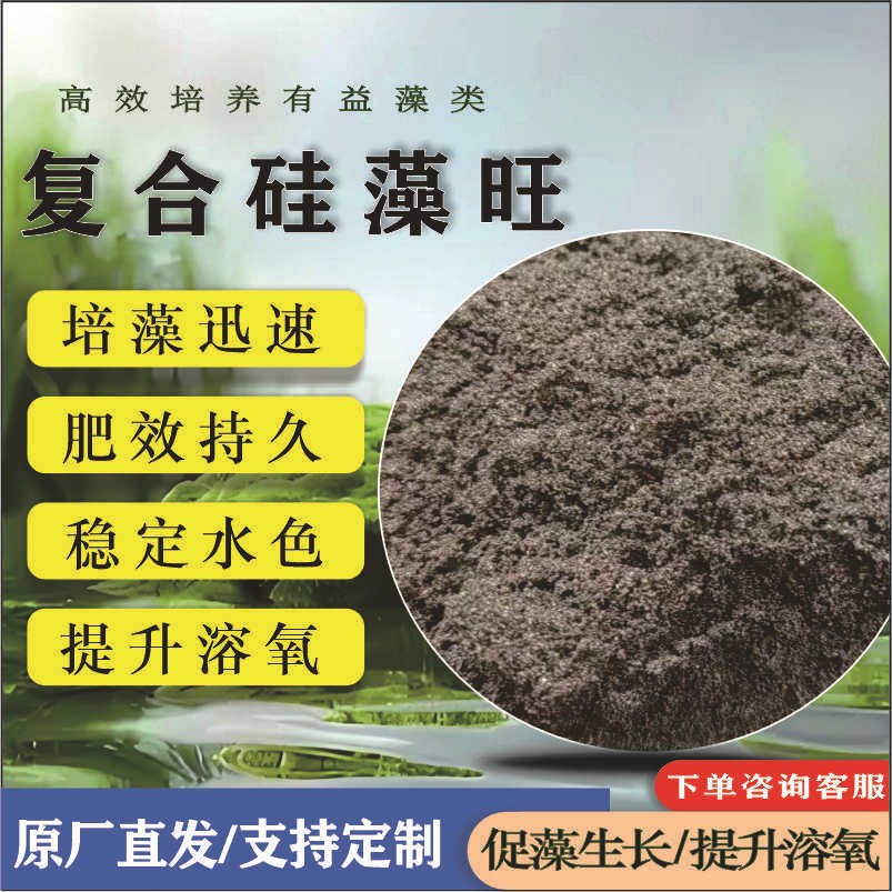 复合硅藻旺低温肥水藻种水产专用粉批发生物菌剂高密度厂家新型优