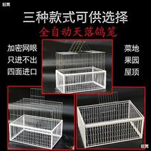 ����ץ���ӻ\ȫ�Ԅ�ֻ�M��������Ұ�����䷽����������B�\