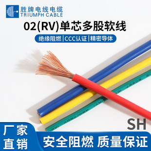 �I��늾� 02(RV)���˰��bܛ�� �S�G���g�ӵ؆�о�~����/1x6mm2