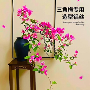 ����÷����diy�@ˇ�������X�zܛ�X���辰��������P��֦�l