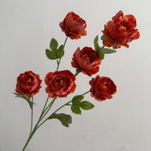 ���滨6�^�ᭇĵ������c�bٻ��Wʽ������ș�S��ֱ�N���Q�ٻ�