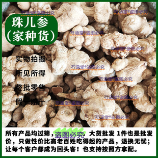 �郺����ș�� ���x�������Ӆ������߸������o�����酢������ș