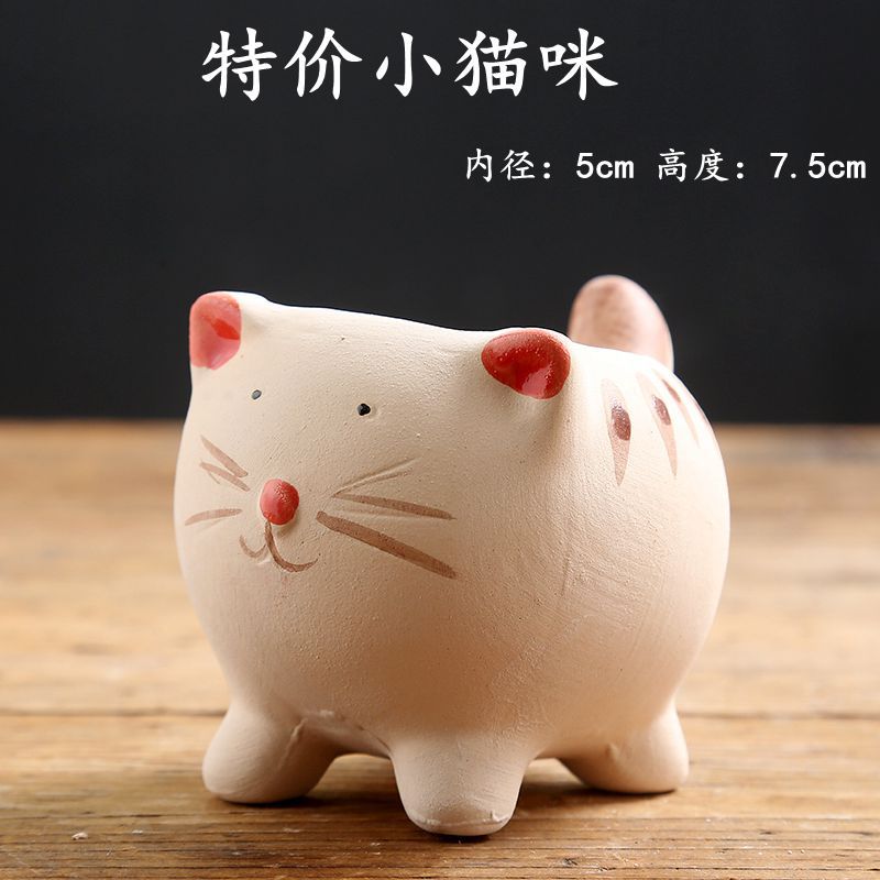 特价小猫咪