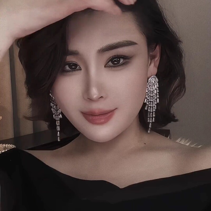 法式优雅气质夸张耳饰女超闪锆石镶嵌轻奢时尚高级感长款流苏耳环|undefined