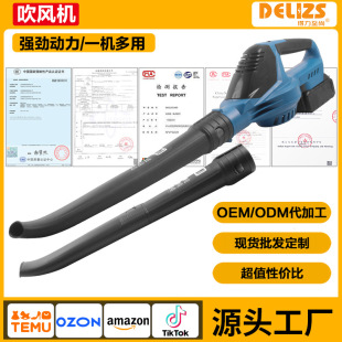 Brushless electric hair dryer lithium hair dryer car computer dust collector high-power soot blower cross-border generation