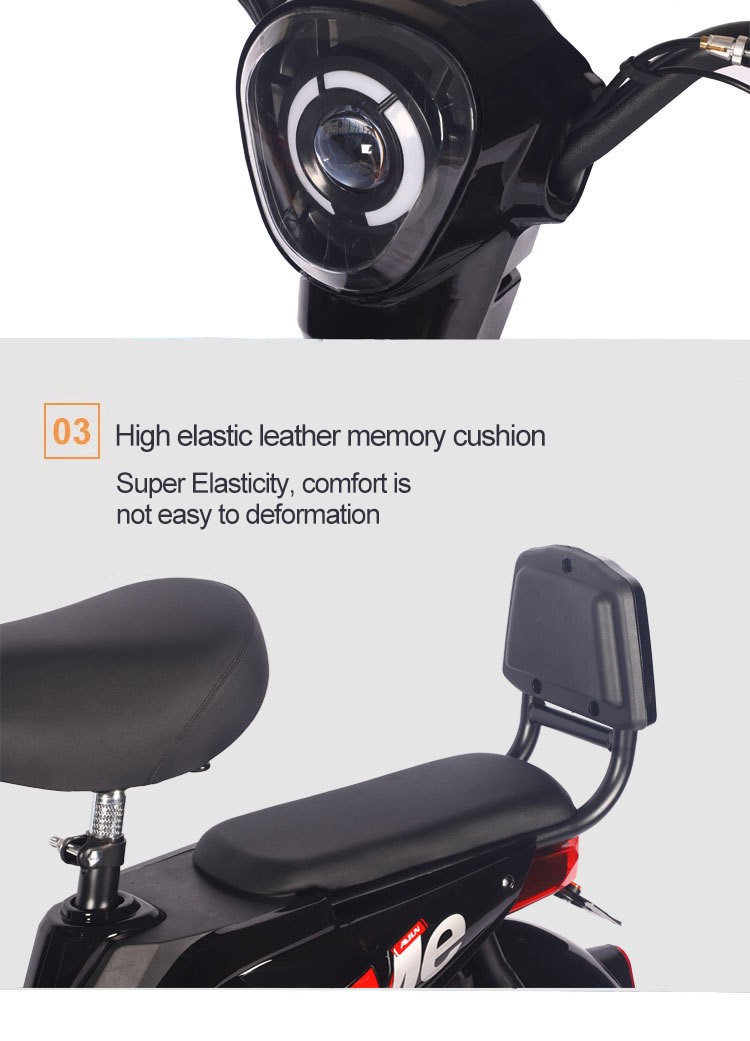 Electric Bicycle for Adults, Men and Women, Long Range
