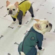 2025���¿�ӽq��ů���_��׷��o����С��Ȯ�ﶬ��ů���·����·�