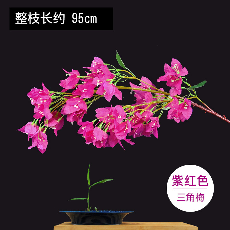 암호화된 부겐빌레아-퍼플