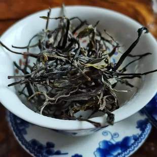 �F؛���l����ն���ɢ�b����2023�������ë���º������봺��