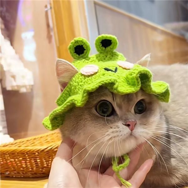 Cute Acrylic Cartoon Pet Hat display picture 9