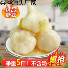 ɽ�|�Ǵ���5���b������^����S���̲��u�����l1����]