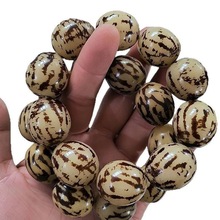 ֱ�������������ִ����߼y����ԭ���ִ��S��ֱ�N