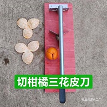 �Ƥ���������̽���Ƥ��������Ƥ�����_Ƥ�C�����_���C��