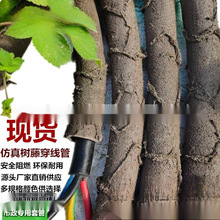 ���ϸɘ�֦늾����@��ľ���ٗl�bܷ�Ƥ������Ę��ٴ�����