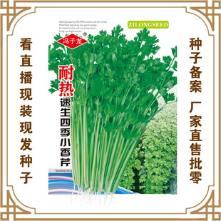 �T�����N�繫˾ֱ�����������طNֲ�߲˷N���˟������ļ�С����