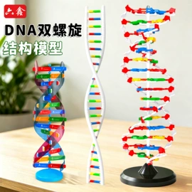 教学演示用品;数理教学器材;生物教学器材