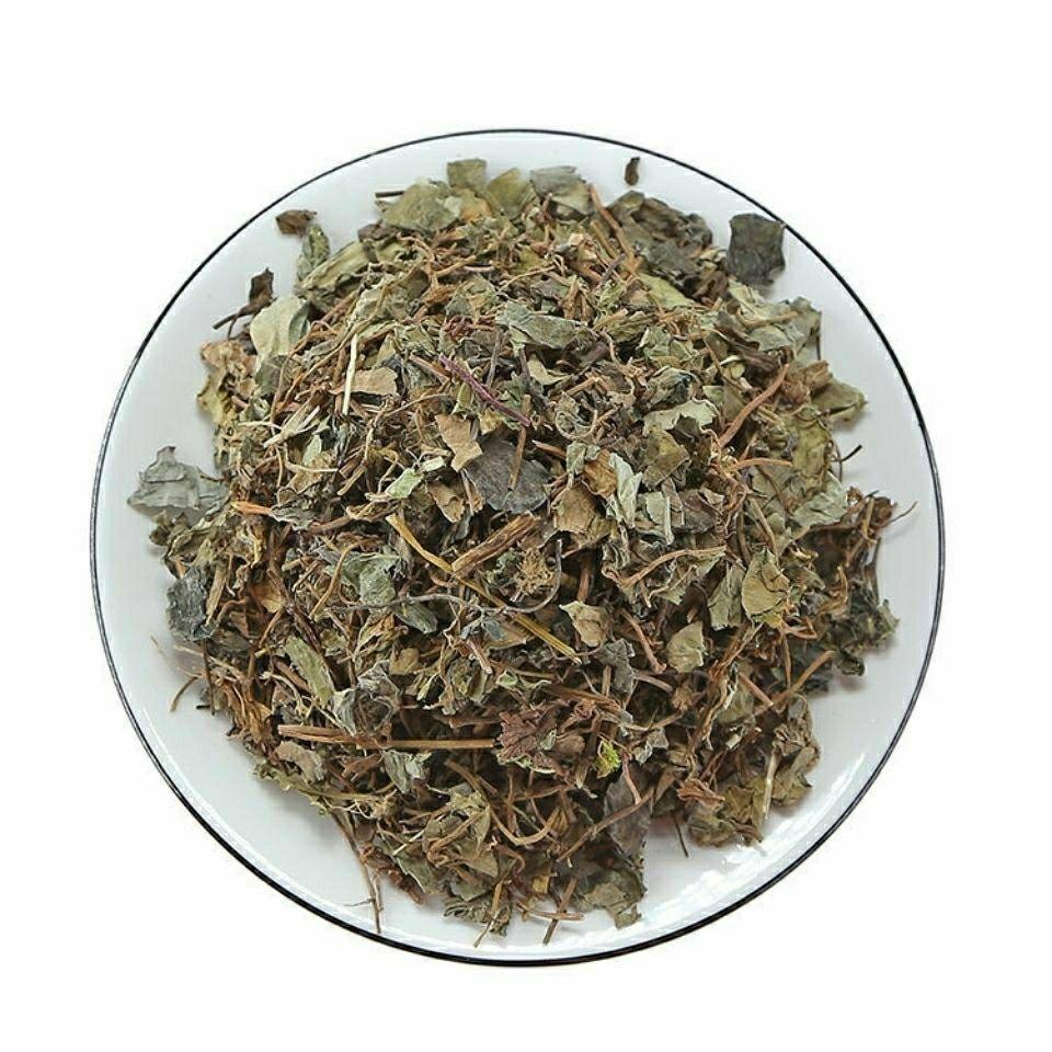 Dried Jin Qian Cao 金钱草 Loose Herb Slices for Traditional Tea and Decoction 500g in use
