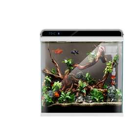 厂家直发鱼缸水族箱乌龟缸金鱼缸创意小型鱼缸HE生态鱼缸桌面