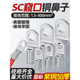 SC铜鼻子接线端子窥口铜鼻子接头A级加厚线鼻子紫铜线耳2.5/4/6