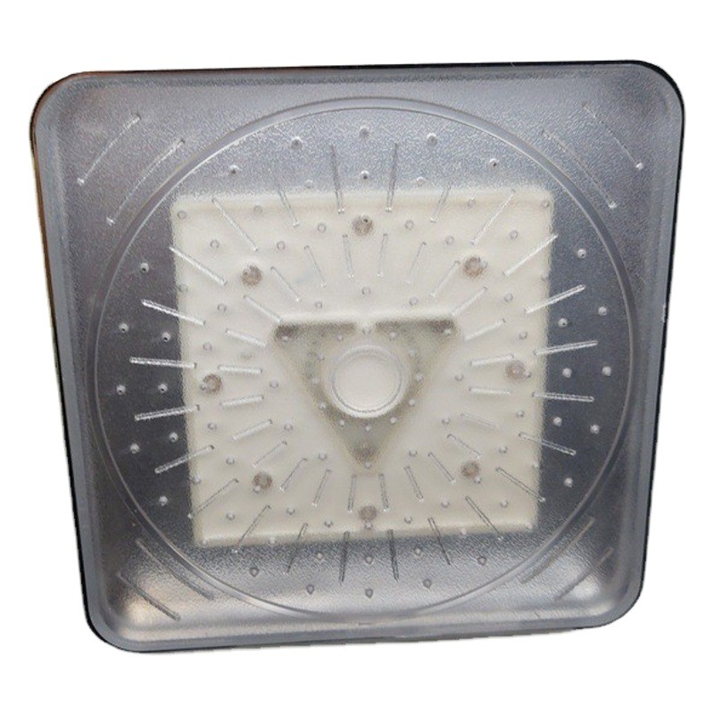 El comercio electrónico transfronterizo dedicó la detección de la temperatura del espray del top del LED/color luminoso colorido que cambiaba la Boca Grande 8020-B1 de la ducha de 6 pulgadas