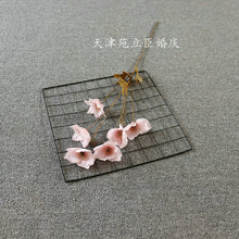 ���滨��ˮ���F��ɏ2019���¿��Y�÷����픻��Ų廨������ˮ��