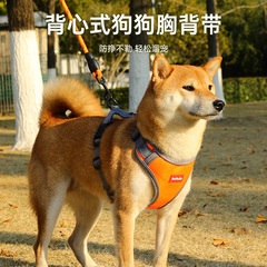 犬の牽引紐は防爆で光を反射します。