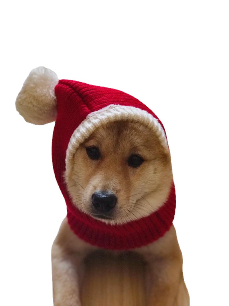 Mascota sombrero de Navidad perro rojo sombrero de lana Shiba Inu francés cubo oso de peluche Golden Retriever Big Dog Man sombrero de Navidad transfronterizo
