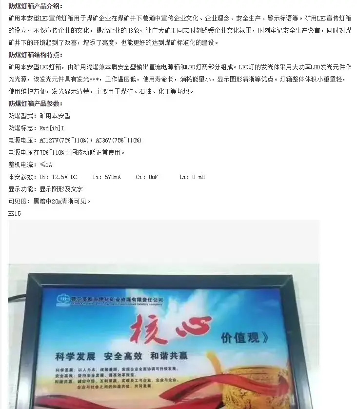 矿用本安型灯箱 (3)