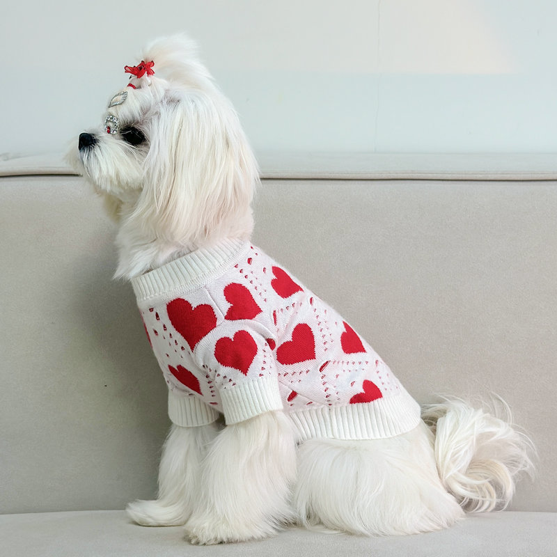 Dog Sweater Image 2