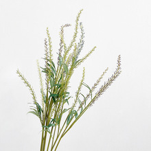 ���滨�Gֲ ����� �S�L�� �Ҿ�����ܛ�b��O�廨��� �OӋ���~��