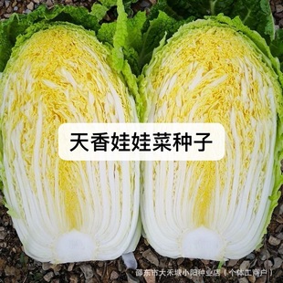 �������޲˷N����ƷС�ײ�����@ͥԺ�Nֲ�߲˿�Խ��