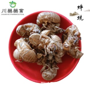 �s͑500g �s�� ����ș��ș�ġ���ș�����l���� ֪�˚�