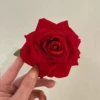 Красный (уткообразный зажим)