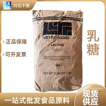 现货供应乳糖食品级乳糖 一水无水/100目200目压片25kg一袋乳糖