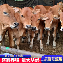 ��ţ�� ���������Sţ�� �����SţСţ��r�� �����Sţ�Bֳ��