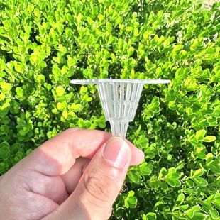 Pot Bottom Hole Mesh Gasket Leak-proof Soil-proof Root-proof Breathable Water Leakage Tapered Plastic Orchid Fleshy Potted Drain Cover