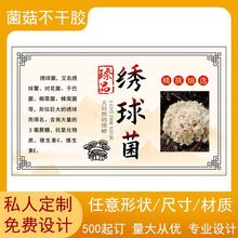 z؛b˺NF؛NOӋɫӡˢ