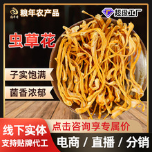 ���r�x�ݻ����lҰ�������o��ʳ���M�a�����Ҝ�ʳ��ɢ�b�x�ݻ���؛