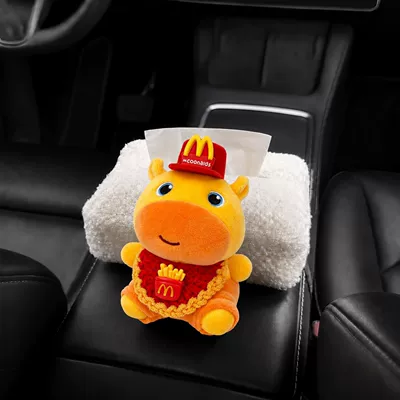 Car tissue box/set – Women