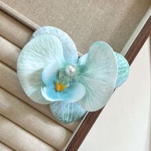 �¿���������������������߼��к������̷��и���β����ץ��