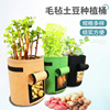 felt Planting Bag Botany Amazon Potato Vegetables flowers and plants cultivate plant Potato ventilation plant