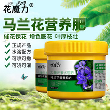 �R�A�R�m�����àI�B���Rɏ������݄��������R���Rɏ���ļ��B�o��