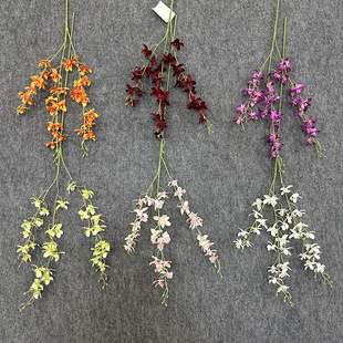 ����С���m���滨�����m�ٻ�������c��̨�͏d�b������ҾӔ[�O