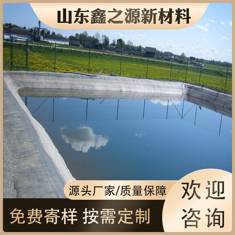 厂家现货池塘蓄水池建设防渗膜鱼塘虾池水产养殖防渗膜