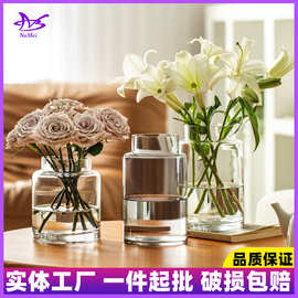现代简约透明玻璃花瓶水培高级感家居ins风高颜值摆件大口径花器