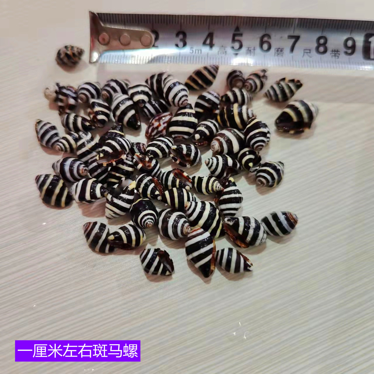 微信图片_20211116132323_副本