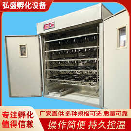 弘盛厂家供应54枚鸵鸟用全自动孵化机6枚鸵鸟孵化器孵蛋机设备